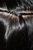 weave Europees haar (IMG_8802.jpg)